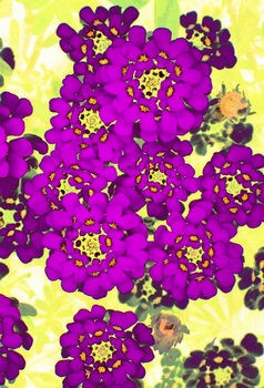 F 045B